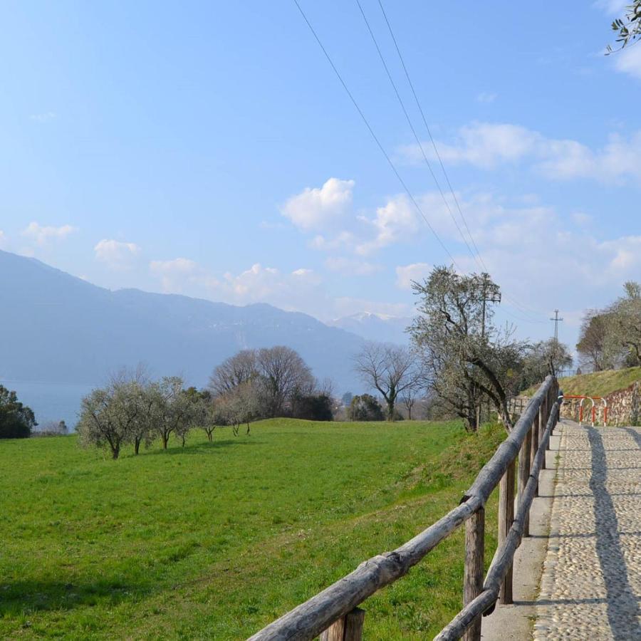 La Cascina Della Vigna Del Viandante Villa Abbadia Lariana Exterior photo